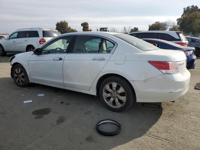 HONDA ACCORD EXL 2009 white sedan 4d gas 1HGCP36829A039205 photo #3