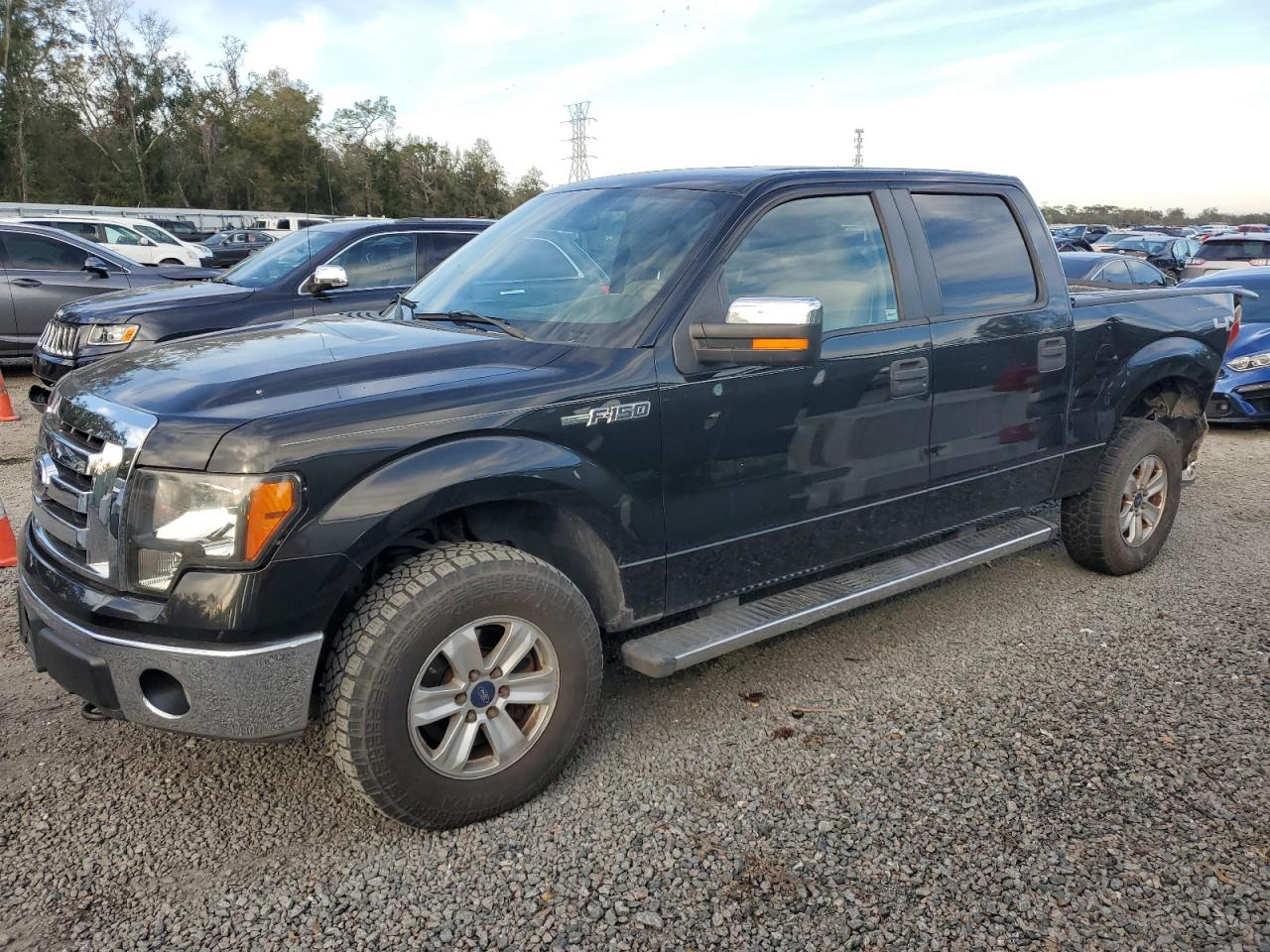  Salvage Ford F-150