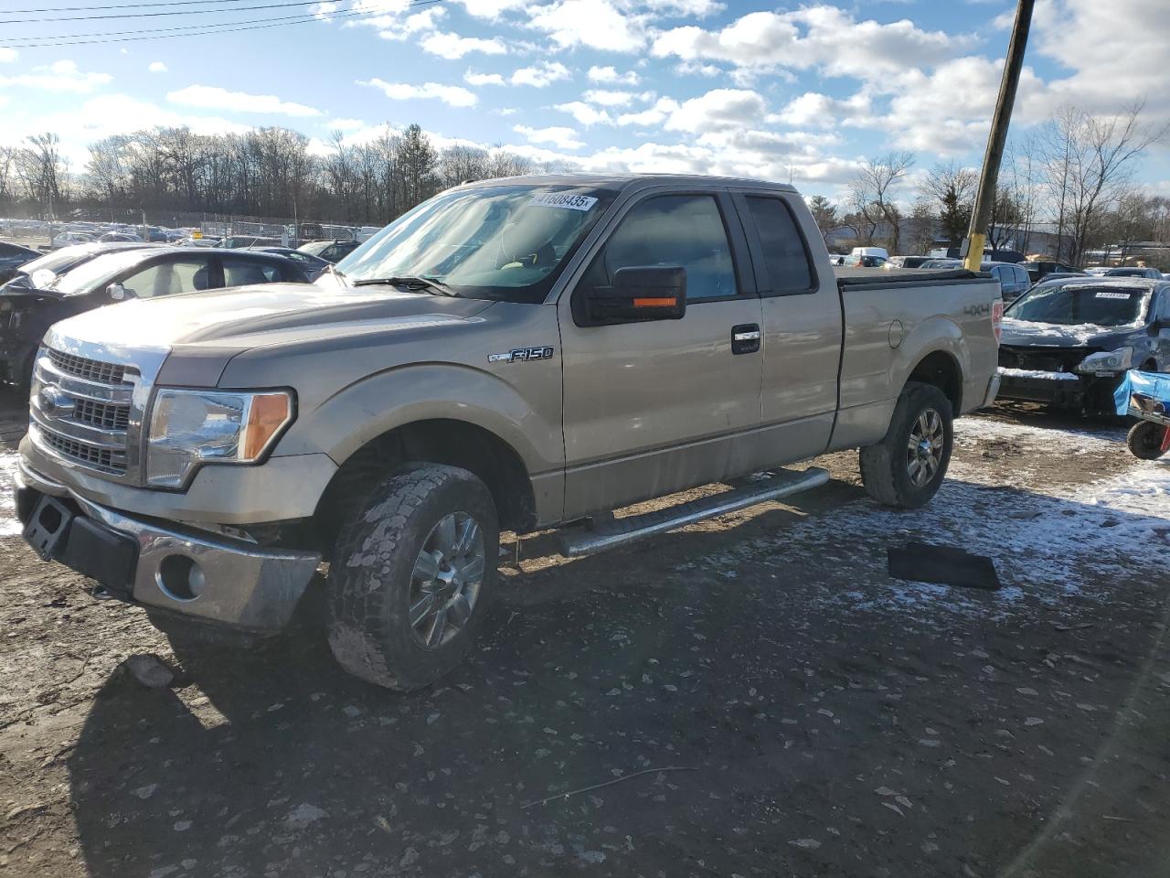  Salvage Ford F-150