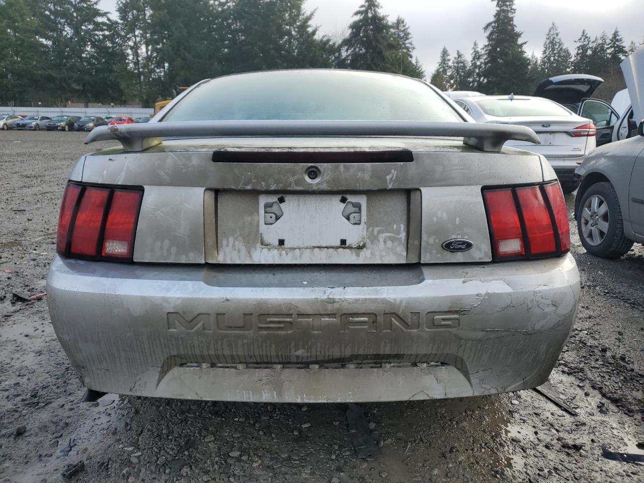 Lot #3052330612 2003 FORD MUSTANG