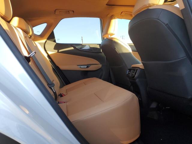 2022 LEXUS NX 350 2T2AGCEZXNC003053
