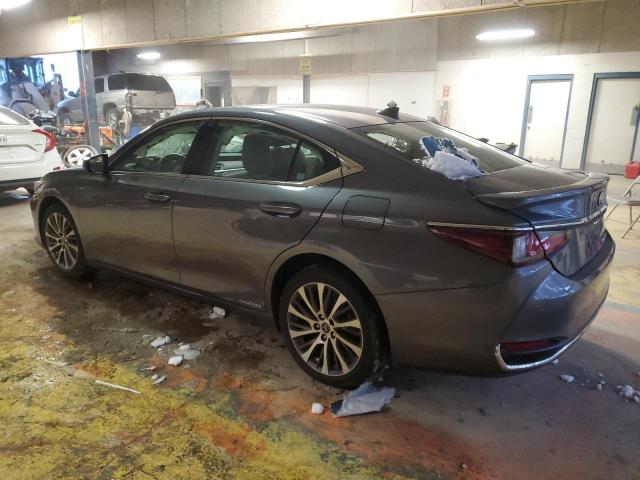 2020 LEXUS ES 300H - 58AD21B10LU007202