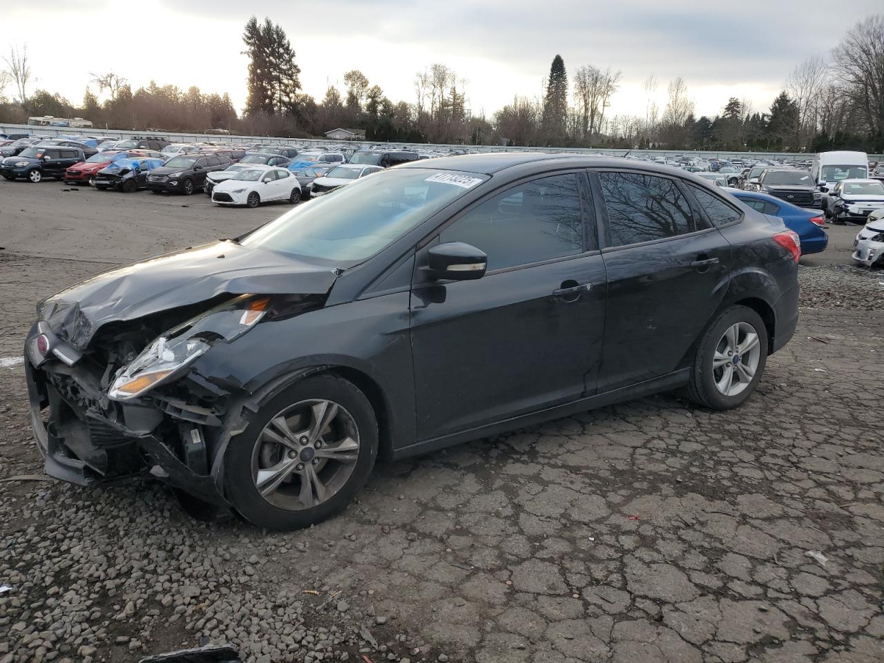  Salvage Ford Focus