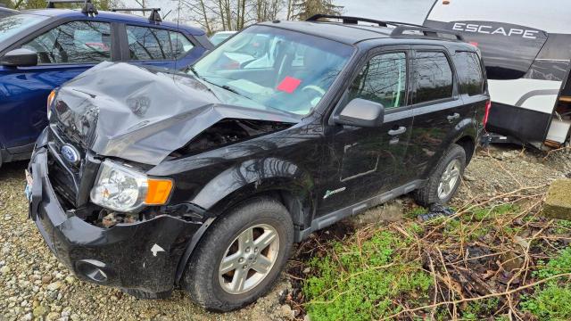 FORD ESCAPE HYB