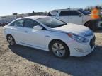 Lot #3055609534 2013 HYUNDAI SONATA HYB