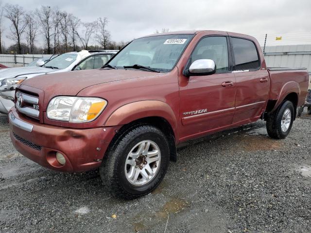 TOYOTA TUNDRA DOU 2006 red  gas 5TBET34126S520667 photo #1