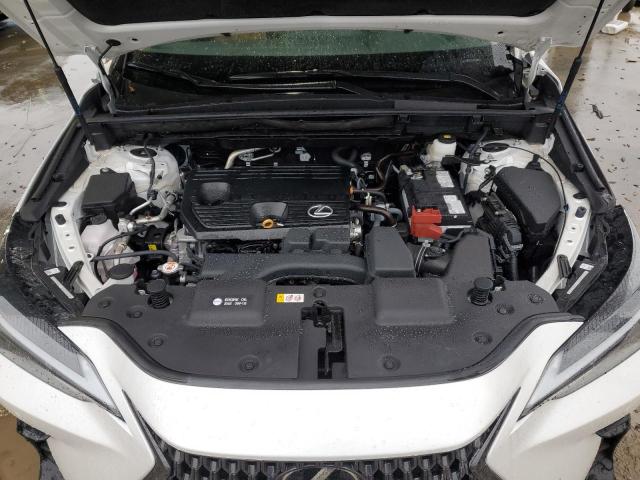 2024 LEXUS NX 250 PRE 2T2GDCAZ2RC012246