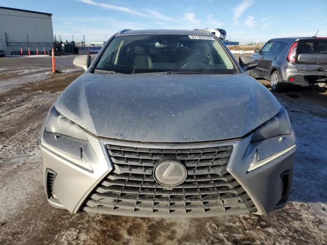 2020 LEXUS NX 300H JTJGJRDZ9L2144872