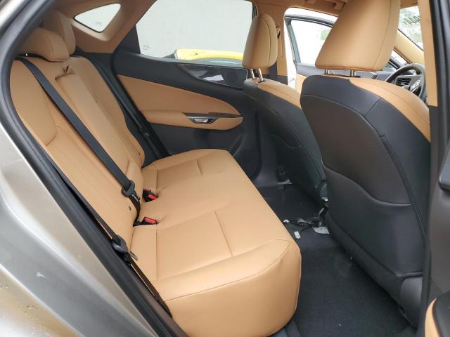 2025 LEXUS NX 250 PRE 2T2GDCAZ6SC021165
