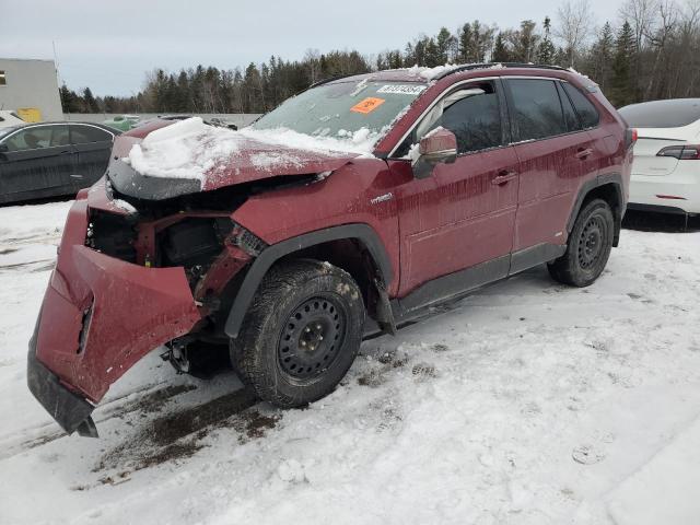 TOYOTA RAV4 XLE