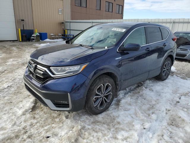 Vin: 5j6rt6h80nl023385, lot: 87974705, honda crv exl 2022 img_1