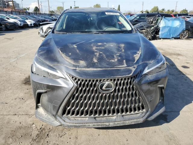 2022 LEXUS NX 350 JTJAGCEZ1N5001125