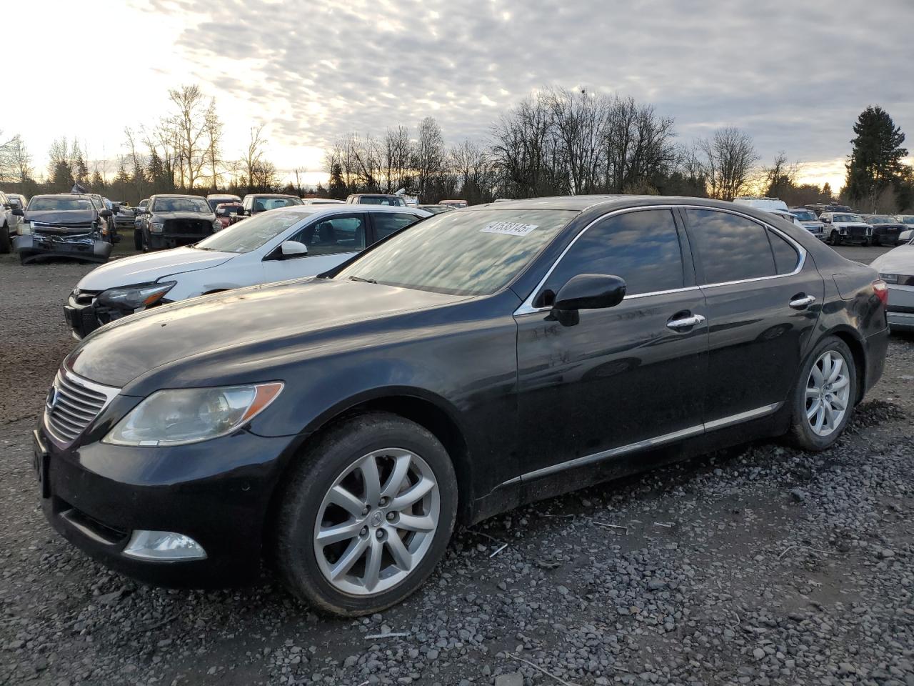 Lot #3050281910 2007 LEXUS LS 460