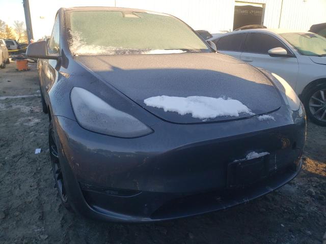 2023 TESLA MODEL Y - 7SAYGAEE8PF942790