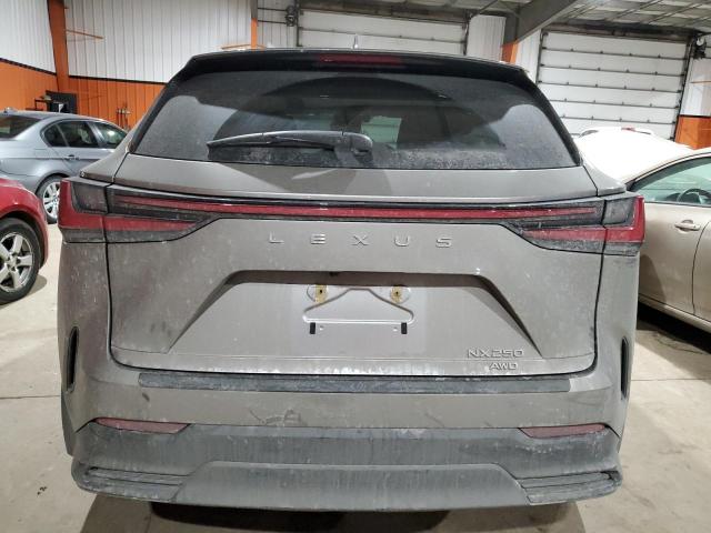 2022 LEXUS NX 250 2T2ADCEZ1NC002270
