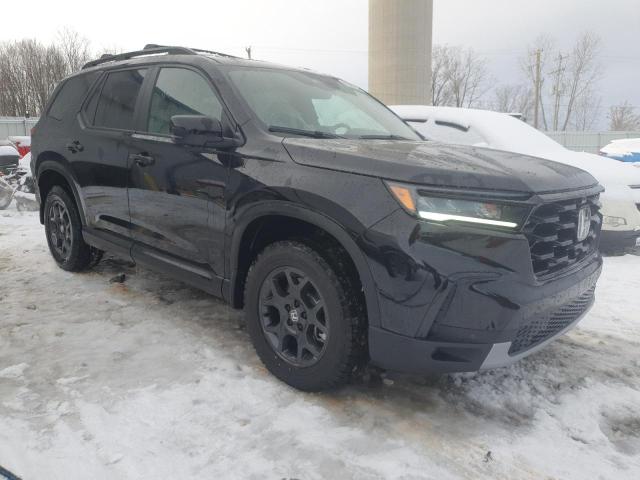2025 HONDA PILOT TRAI 5FNYG1H66SB078042