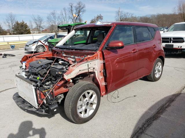 Vin: kndj23au2r7919066, lot: 42301135, kia soul lx 2024 img_1