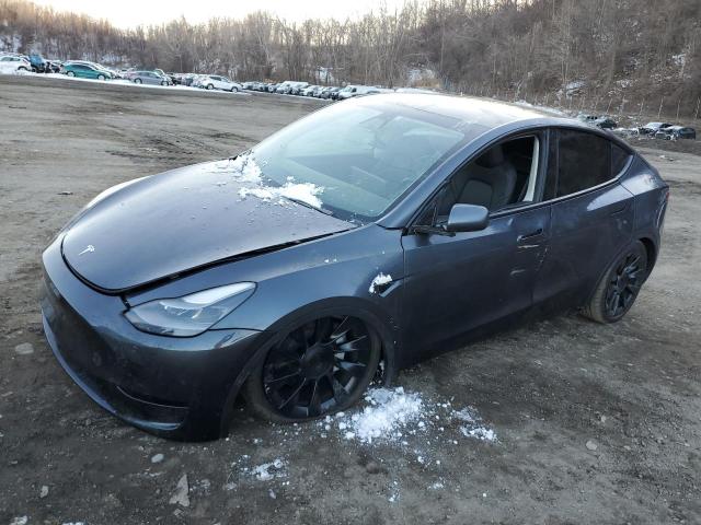 Vin: 7saygdee4pf899390, lot: 43013145, tesla model y 20231