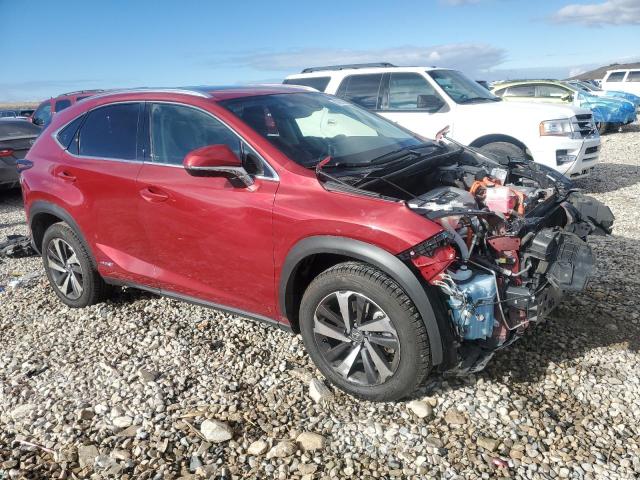 2020 LEXUS NX 300H JTJGJRDZ0L2143996