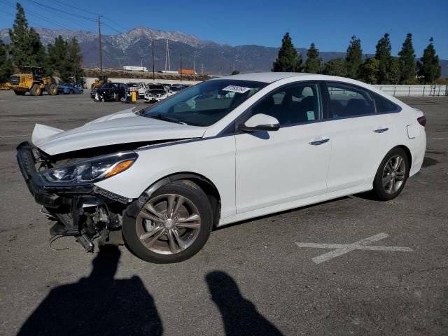 HYUNDAI SONATA LIM 2019 white  gas 5NPE34AF2KH783691 photo #1