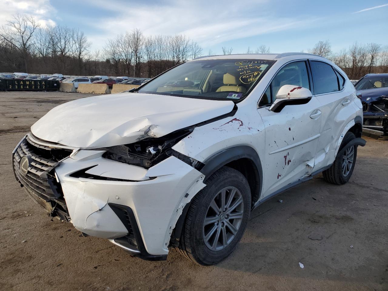 JTJBARBZ1K2179854 LEXUS NX 300 BAS 2019