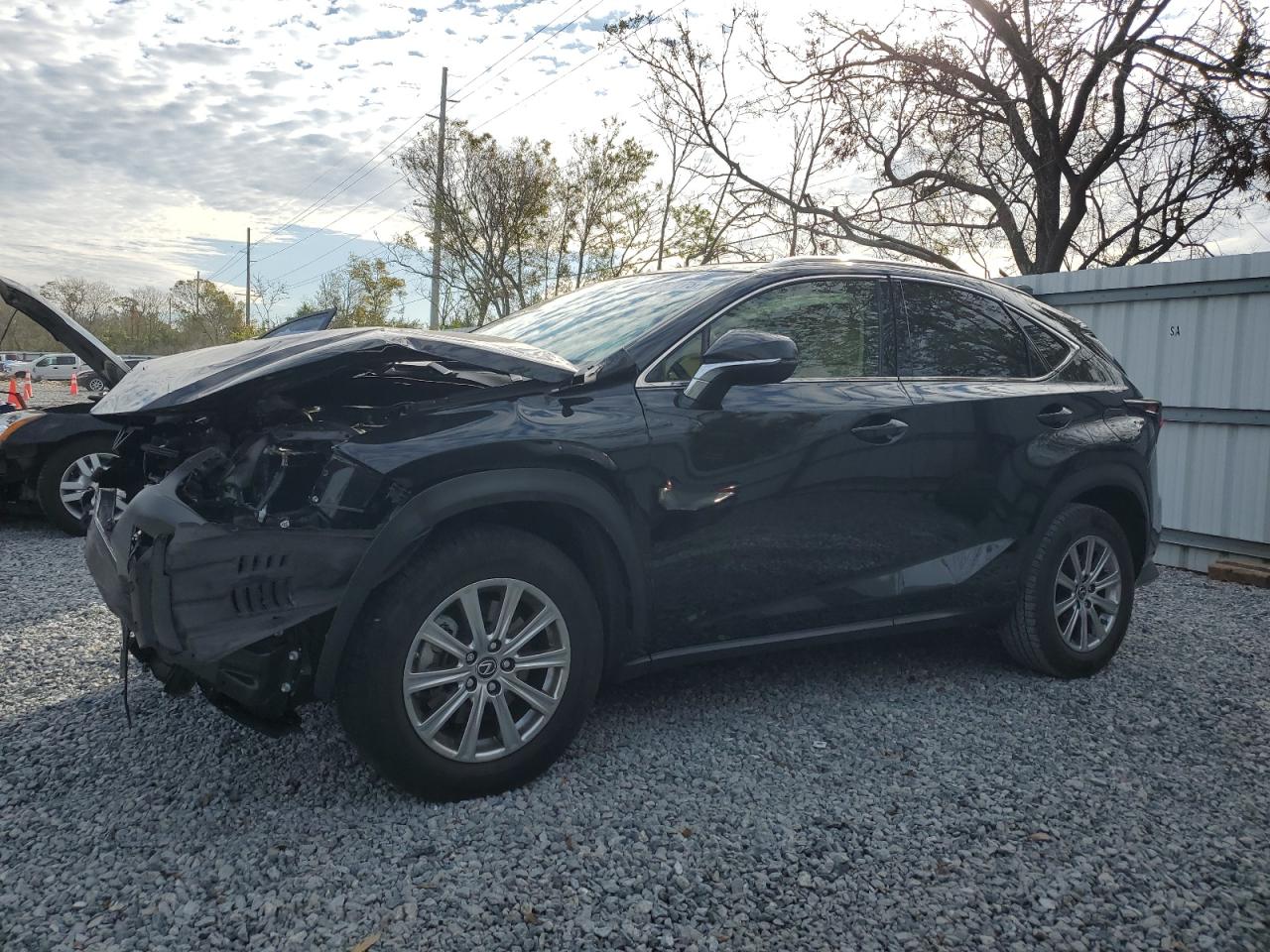 JTJYARBZ1K2117798 LEXUS NX 300 BAS 2019