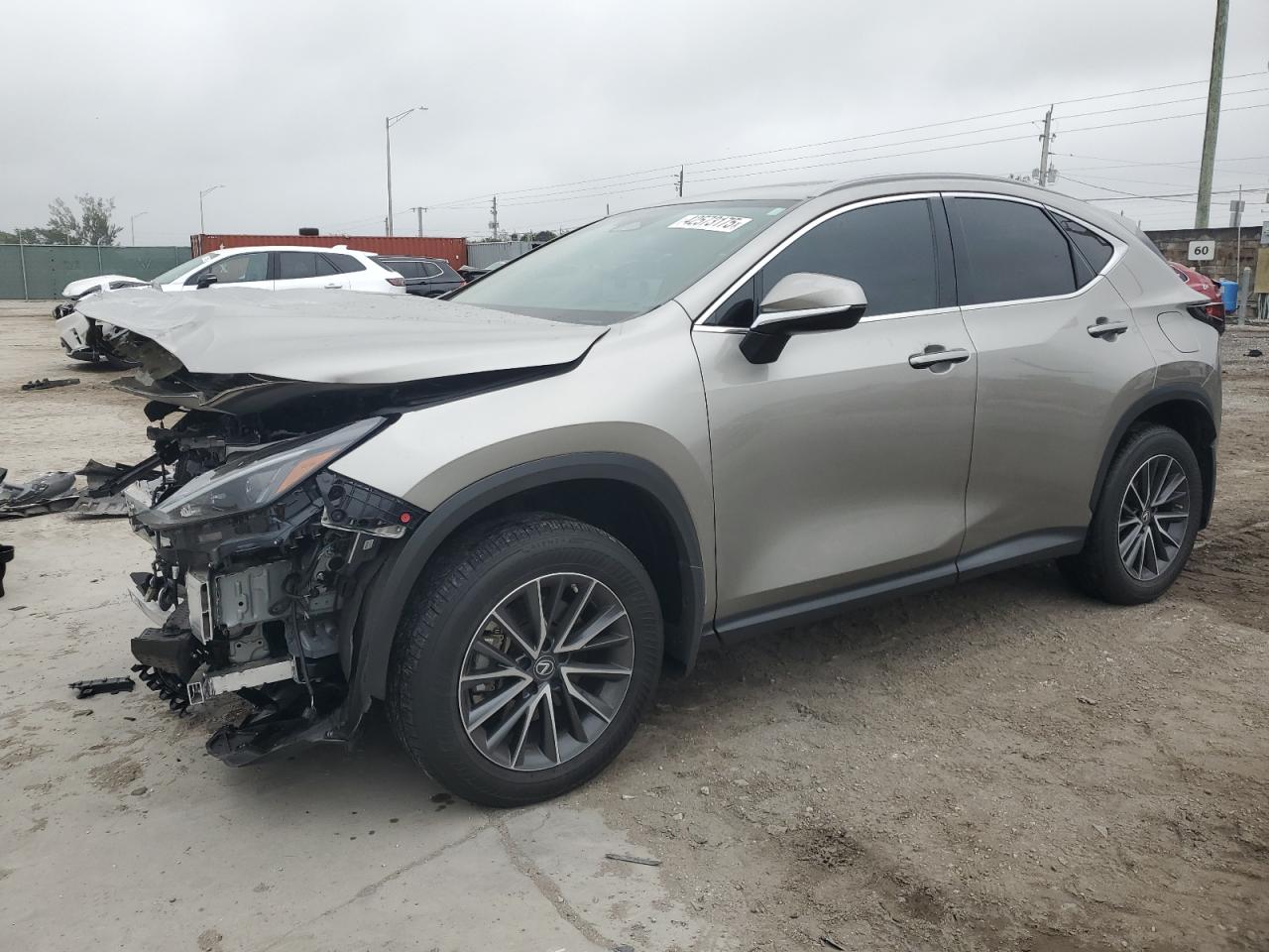 2T2GGCEZ9NC009145 LEXUS NX 350 2022