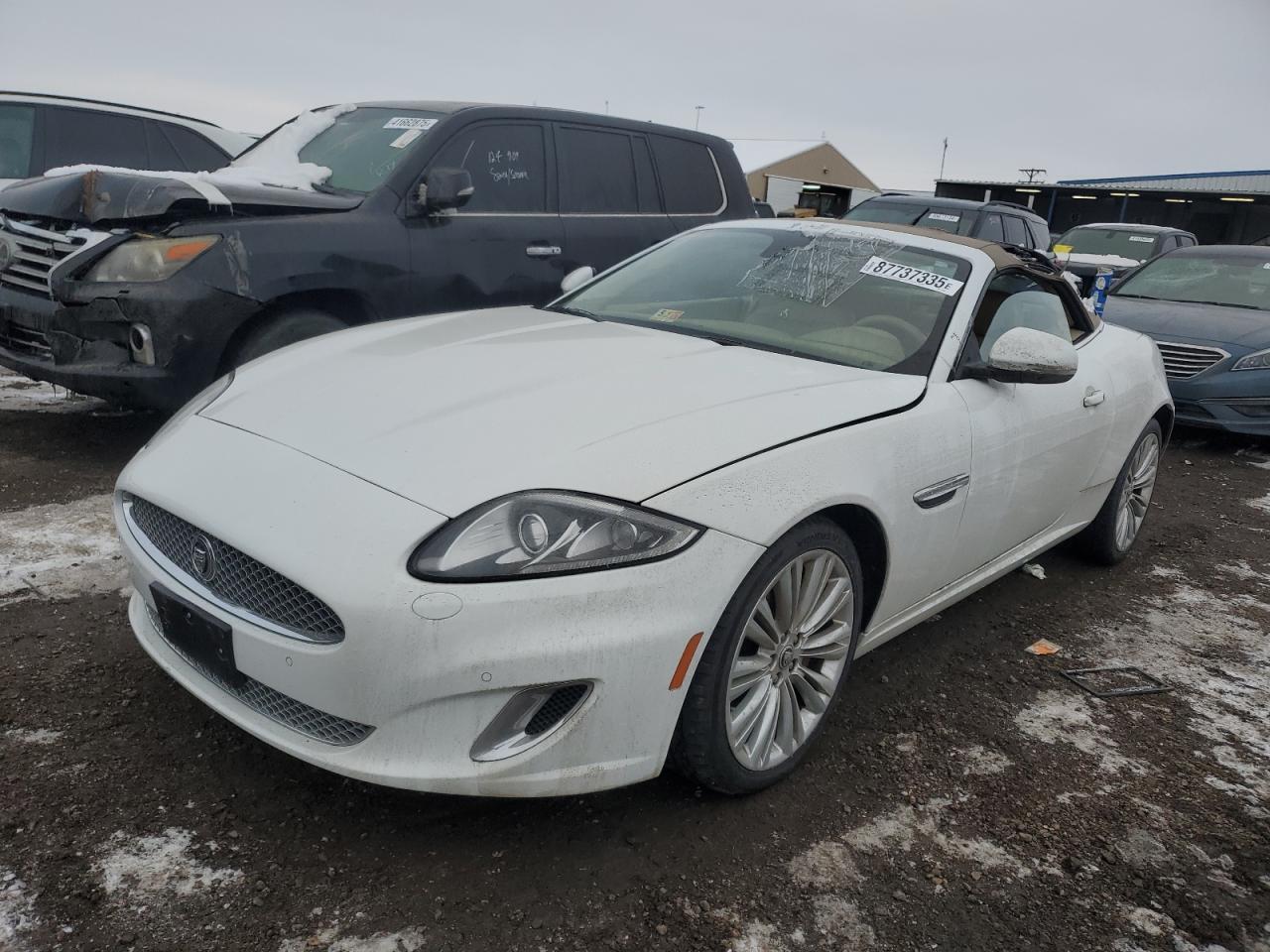 JAGUAR XK