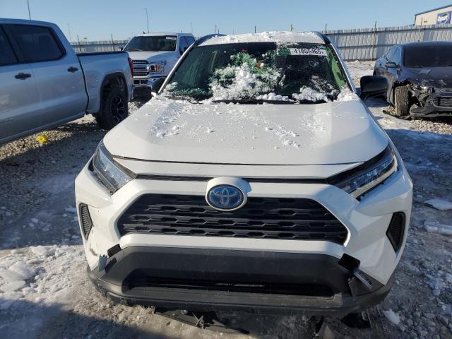 2021 TOYOTA RAV4 LE - JTMLWRFV2MD124966