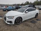 2023 AUDI S5 PREMIUM - WAUC4CF51PA042586