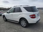 Lot #3055248824 2007 MERCEDES-BENZ ML 350