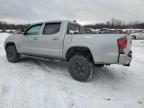 Lot #3051310691 2021 TOYOTA TACOMA DOU