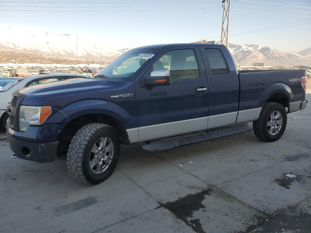  Salvage Ford F-150