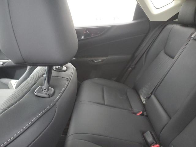 2023 LEXUS NX 250 - JTJADCAZ4P5010077