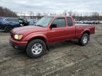 Lot #3048266741 2004 TOYOTA TACOMA XTR