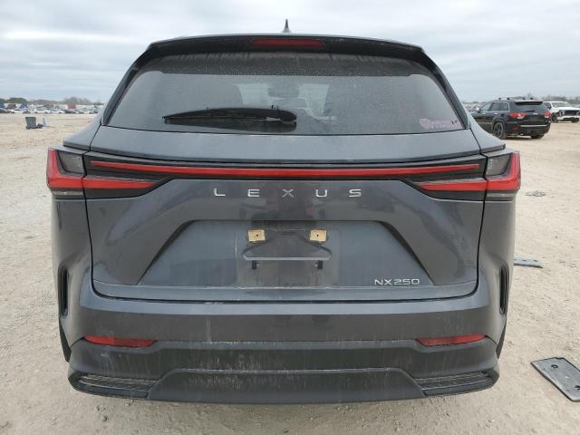 2023 LEXUS NX 250 - JTJADCAZ4P5010077