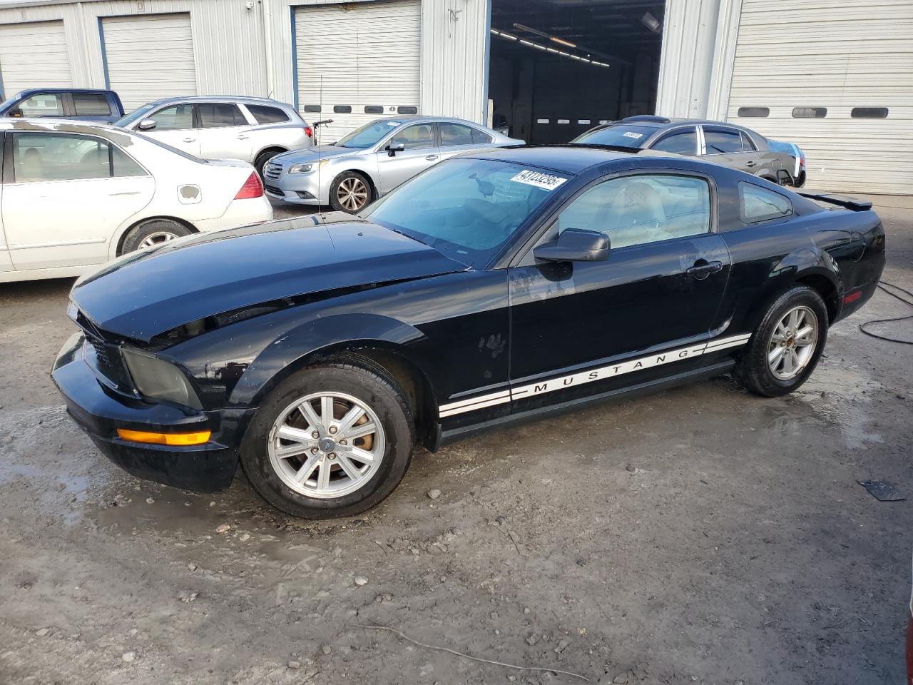  Salvage Ford Mustang