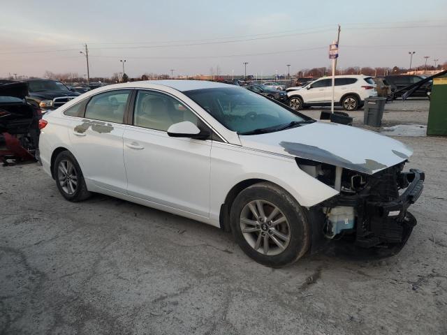 VIN 5NPE24AF8GH379353 2016 HYUNDAI SONATA no.4