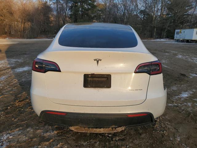 2022 TESLA MODEL Y - 7SAYGDEEXNF319766