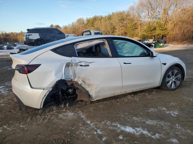 2022 TESLA MODEL Y - 7SAYGDEEXNF319766