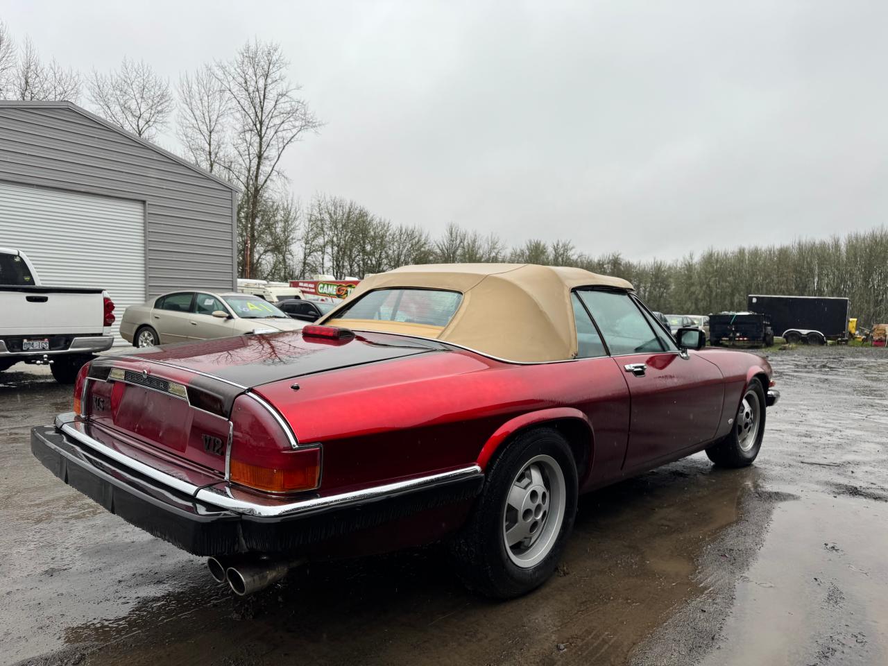 Lot #3045767645 1988 JAGUAR XJS