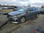 2019 HYUNDAI SONATA SE - 5NPE24AF8KH735230