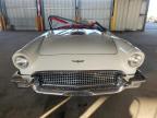 Lot #3049714094 1957 FORD THUNDERBIR