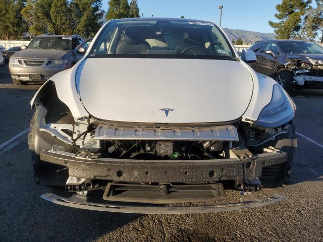 2021 TESLA MODEL Y 5YJYGDEE7MF140063