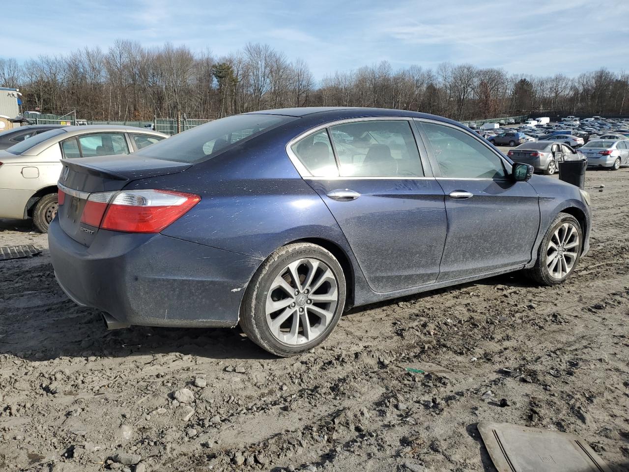 Lot #3052384602 2014 HONDA ACCORD SPO