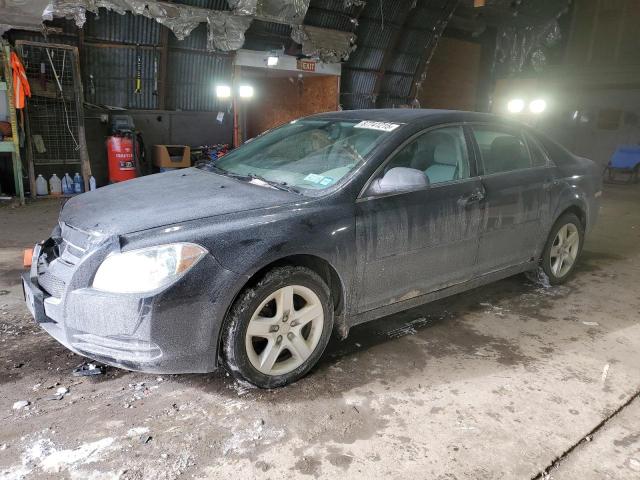 CHEVROLET MALIBU LS