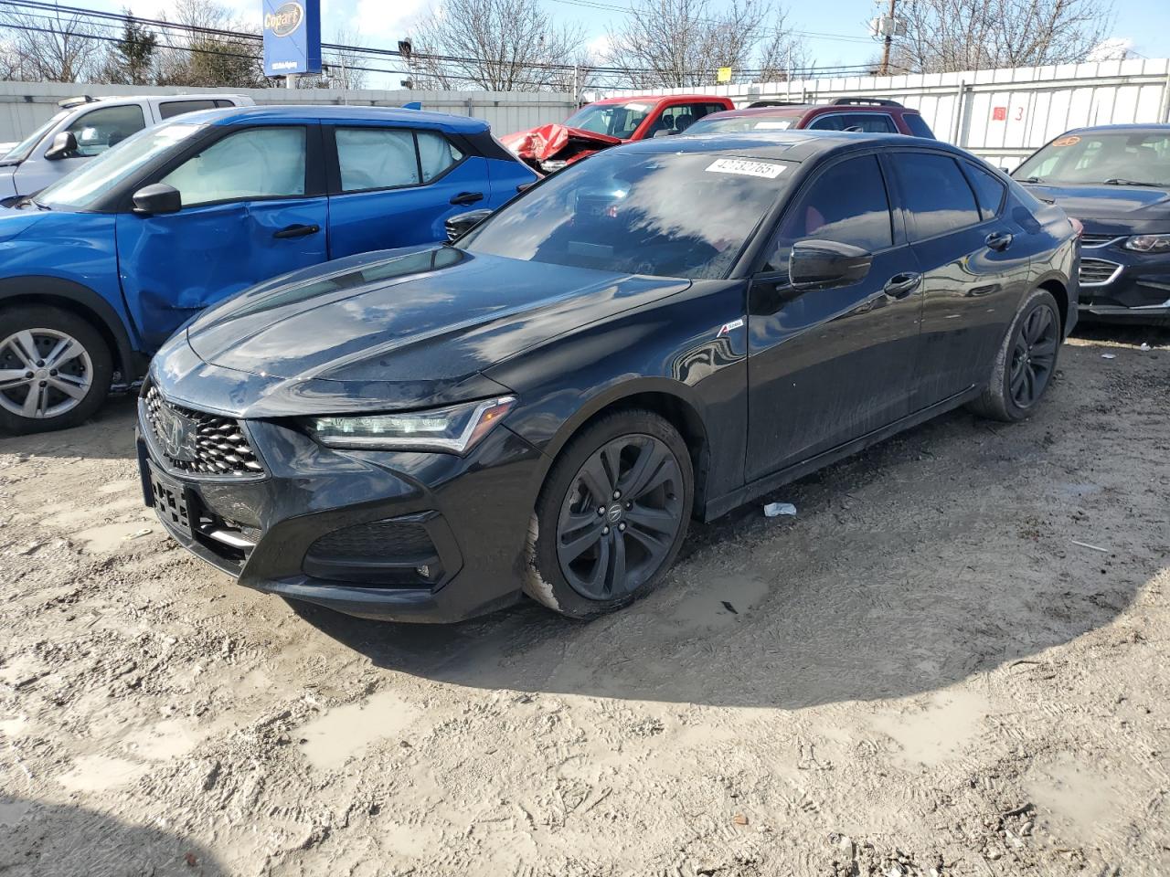19UUB5F57PA004922 ACURA TLX TECH A 2023