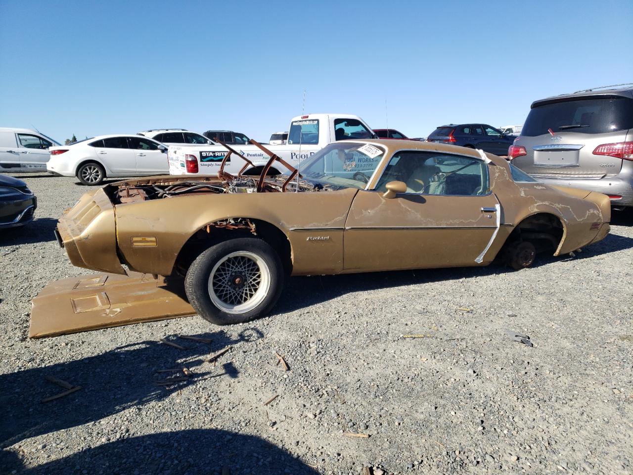 Lot #3055417341 1981 PONTIAC FIREBIRD F