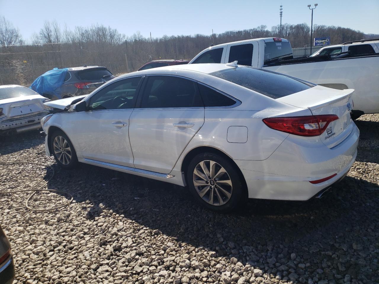 2015 Hyundai Sonata Sport vin: 5NPE34AF8FH110832