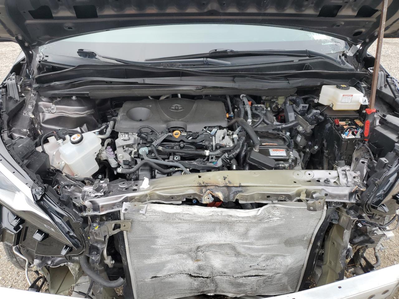 5TDYRKEC0MS011316 TOYOTA All Models 2021
